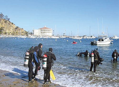 Registration for Avalon Harbor Underwater Cleanup Begins