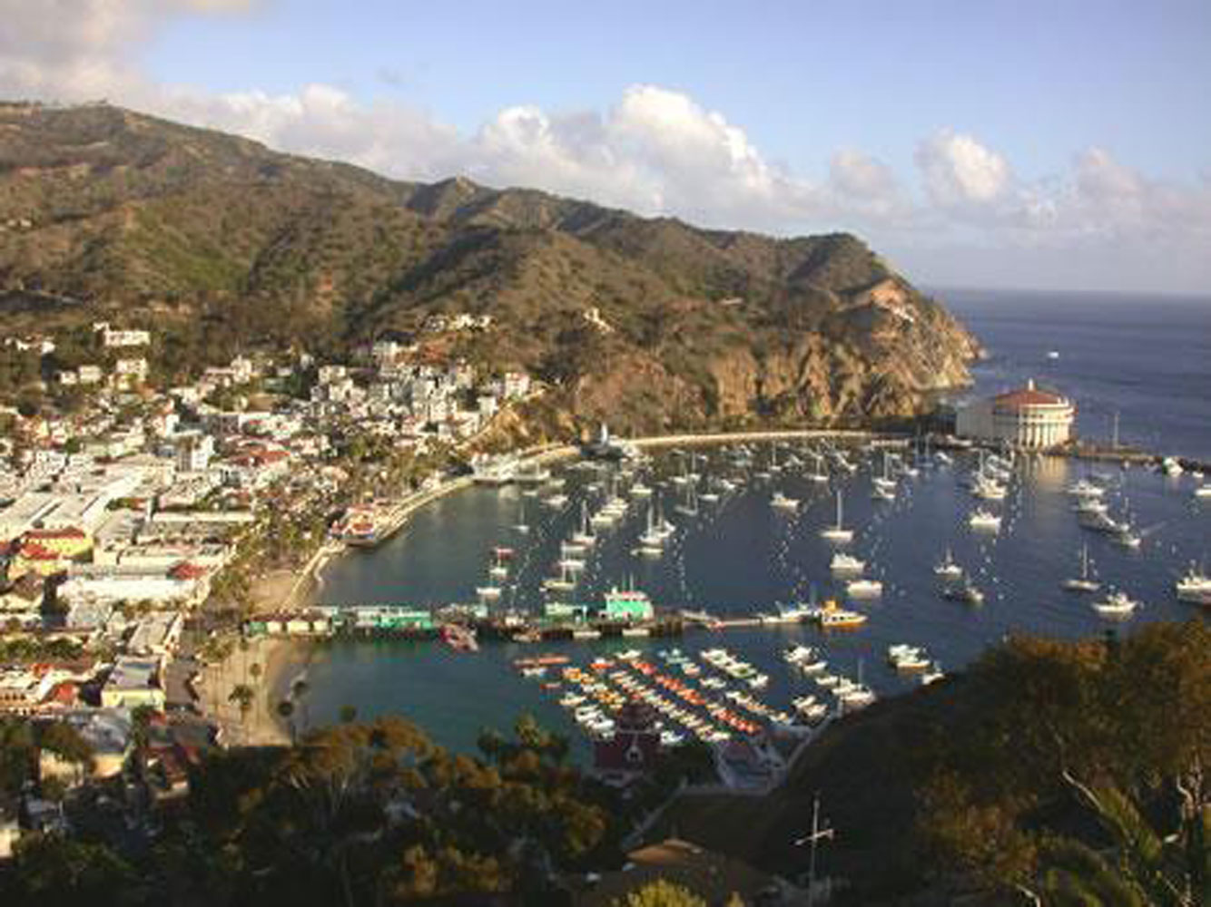 $2 million fuel dock in store for Avalon