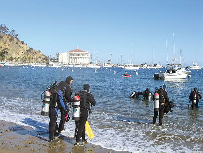 Avalon Underwater Cleanup Set for Feb. 23