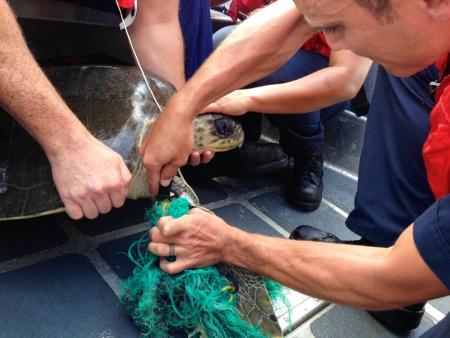 Coast Guard crew saves turtle from fishing line