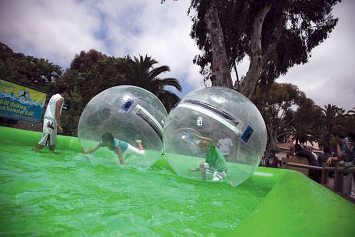 Bubbles Staying for the Summer