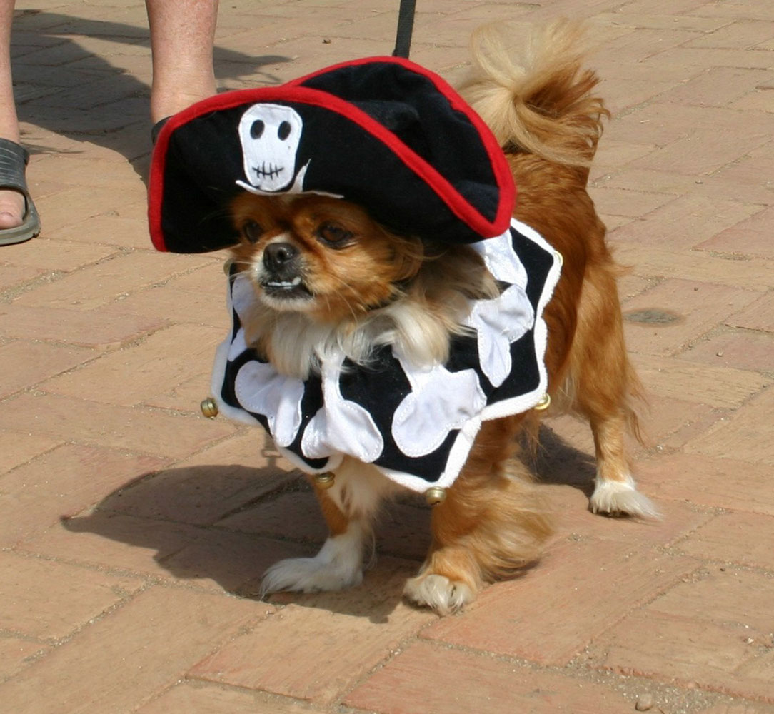 Buccaneer Days returns to Two Harbors, Oct. 2-5