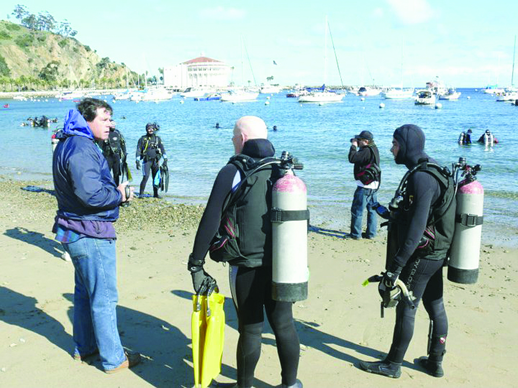 Avalon Harbor Underwater Cleanup Set Feb. 25