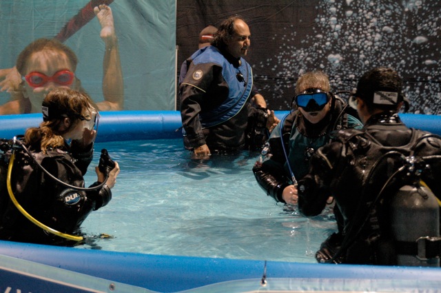 Free-Diving and Spear-Fishing From Surf Boards and SUPs