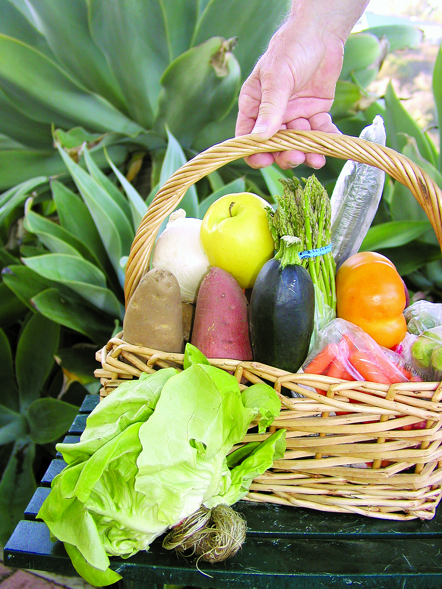 Los Cabos Organic Farmers’ Market Opens for Cruising Season