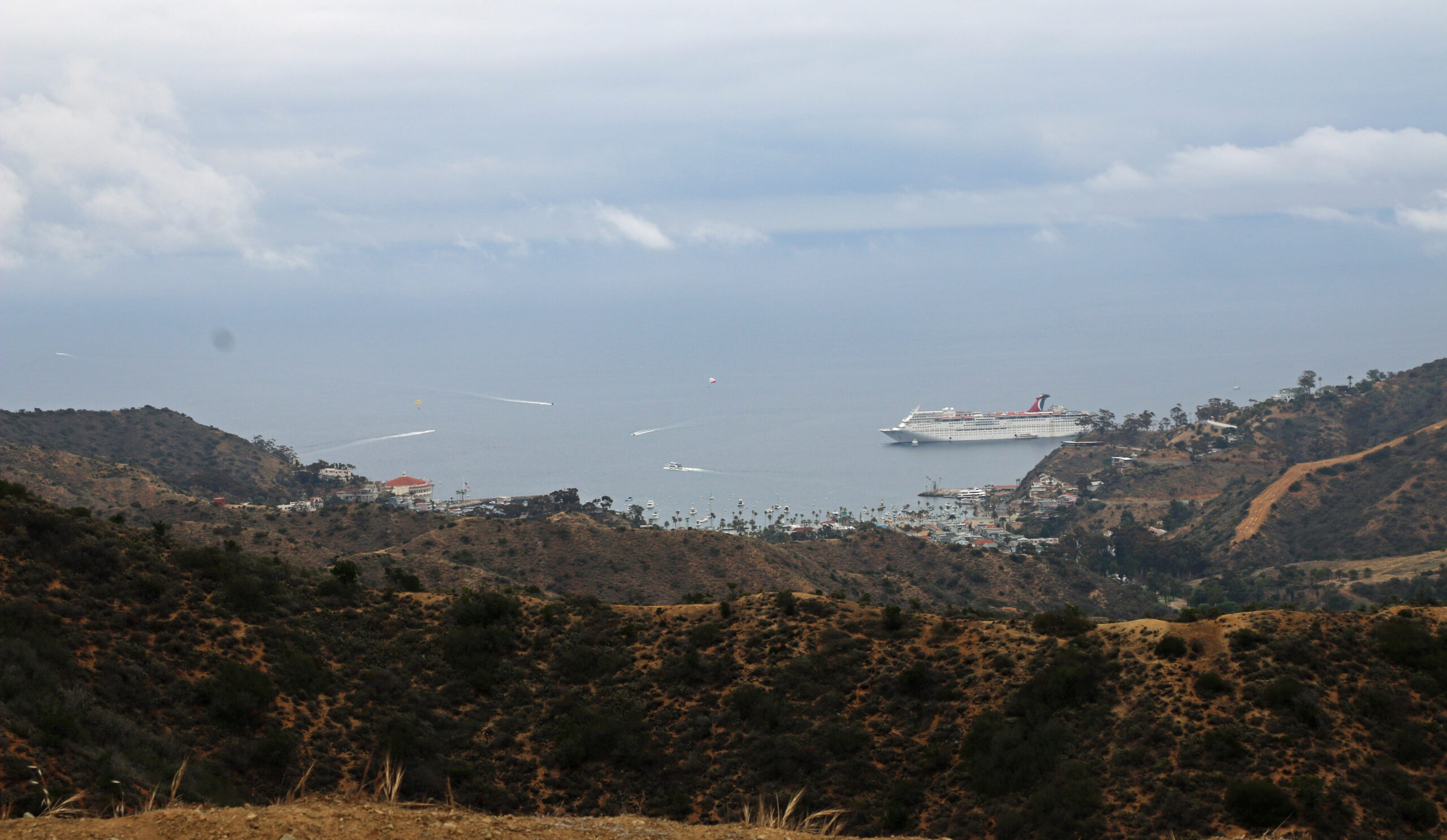 Catalina Island Conservancy offers naturalist-led hike