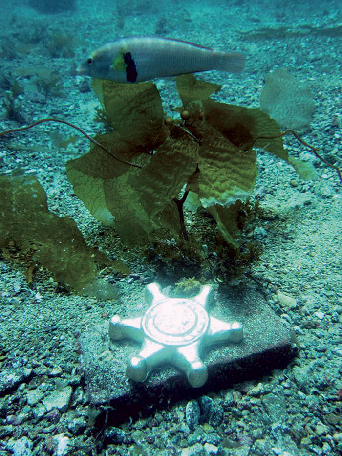 14th Annual Gold Star Dive Coming July 21