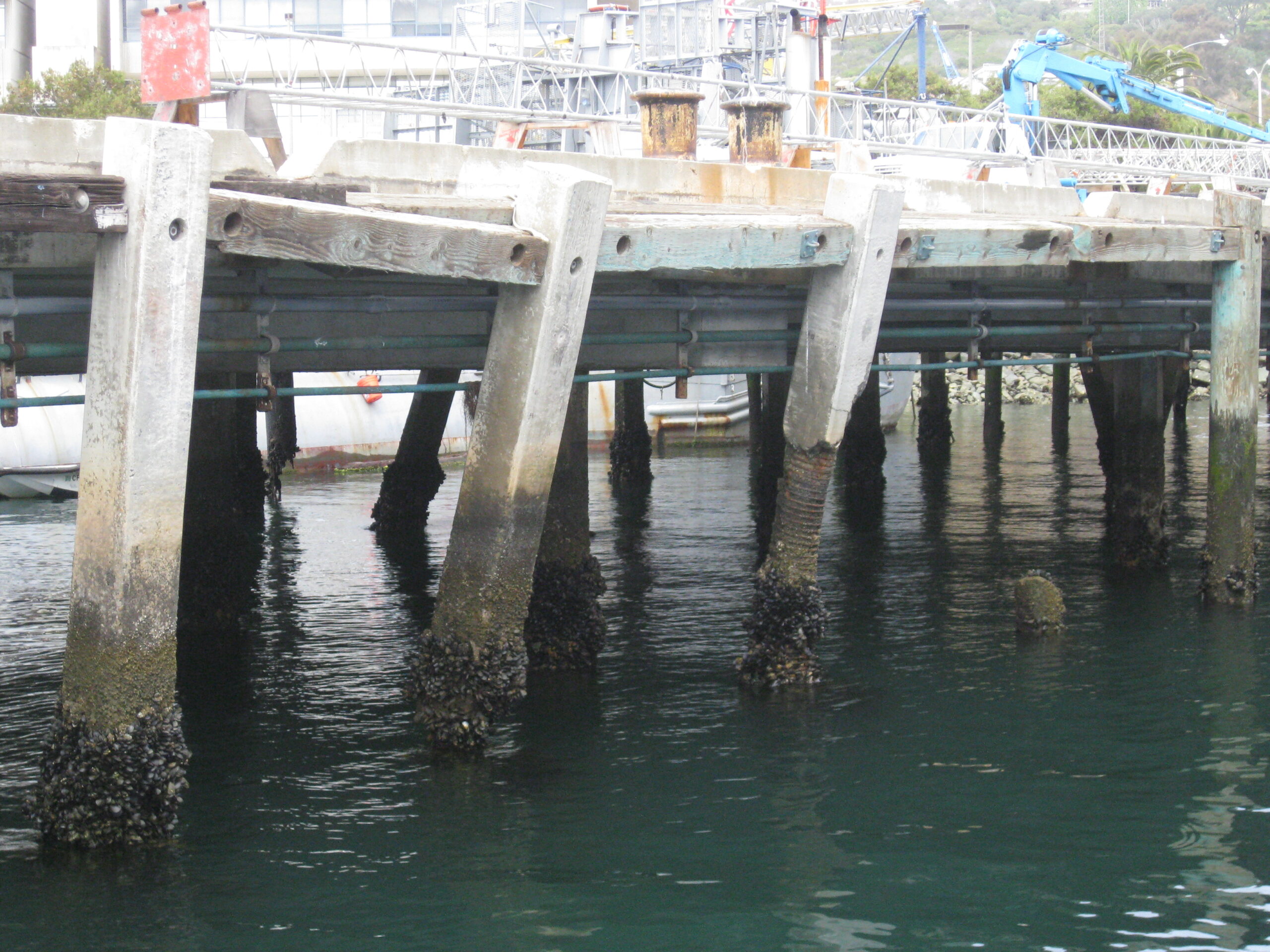 Decrepit Point Loma Wharf to be Rebuilt in June