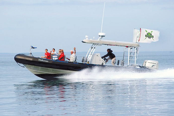 New Catalina Adventure Combines Shore and Ocean Exploration