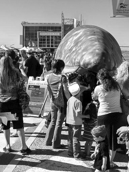 Big Bay Whale Festival comes to San Diego Jan. 25