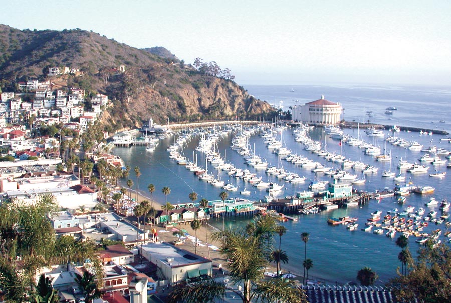 Avalon seeks engineering study for fuel dock safety