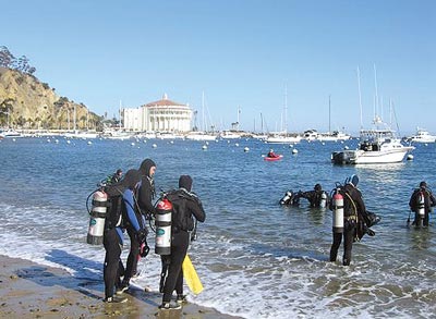 34th annual Avalon Underwater Cleanup set for Feb. 21