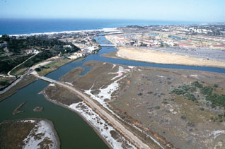 Revised Language Adopted for South Coast Marine Protected Areas