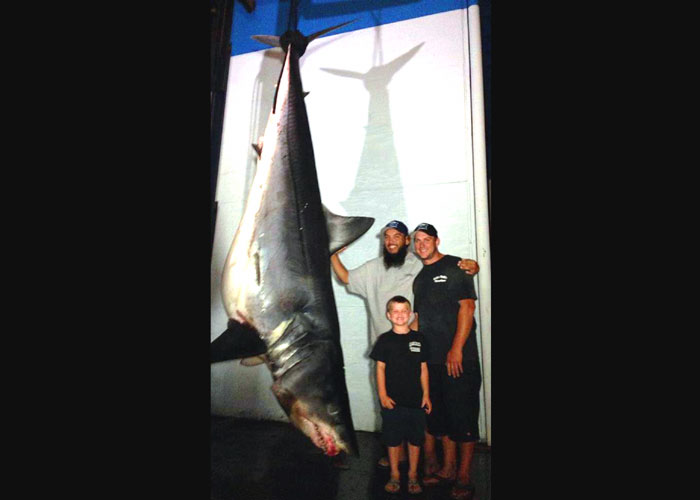 Angler’s 1,325.5-pound Mako Catch May Set Record