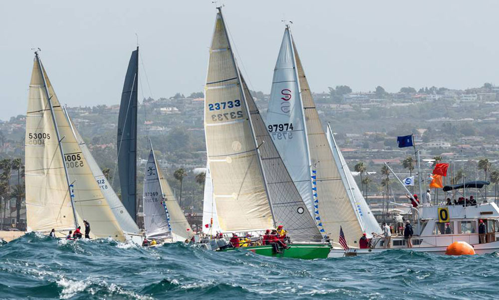 N2E race sees increase in participants