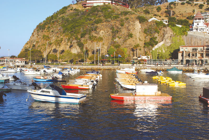 Plans Made to Reopen Scenic Catalina Road