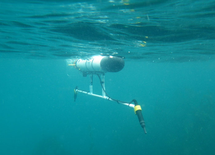 Robots Tail Catalina Sharks