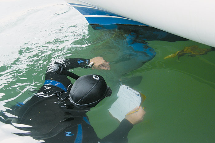 SD Businesses Complying with Hull Cleaning Rules