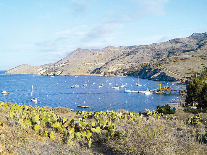 Explore Two Harbors During the Off-season