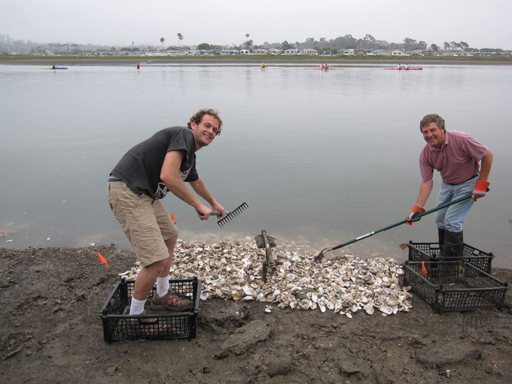 Andy-and-Howard-build-a-bed-Newport-Bay