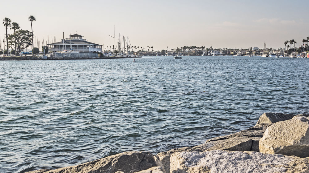 Alamitos Bay Marina enters eighth phase