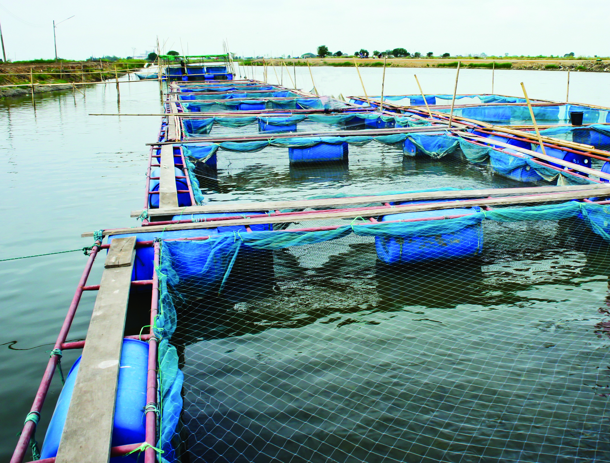 aquaculture