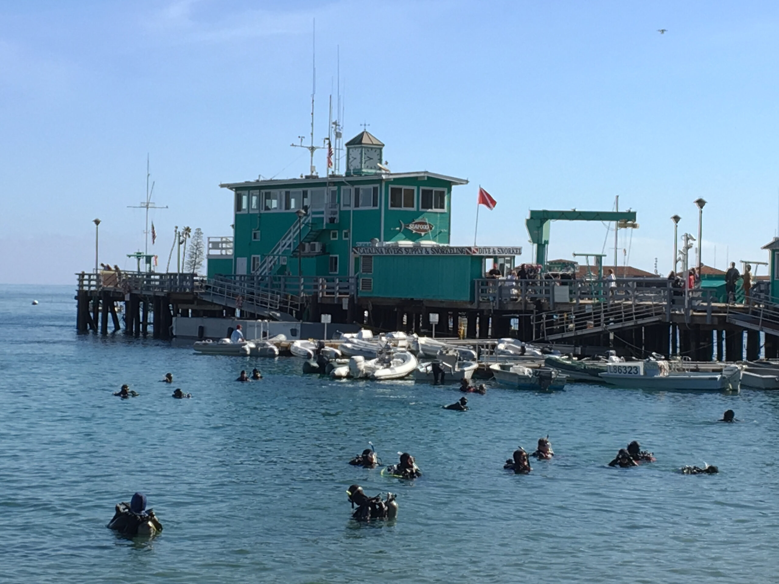 Avalon Harbor Underwater Cleanup volunteers find rare items
