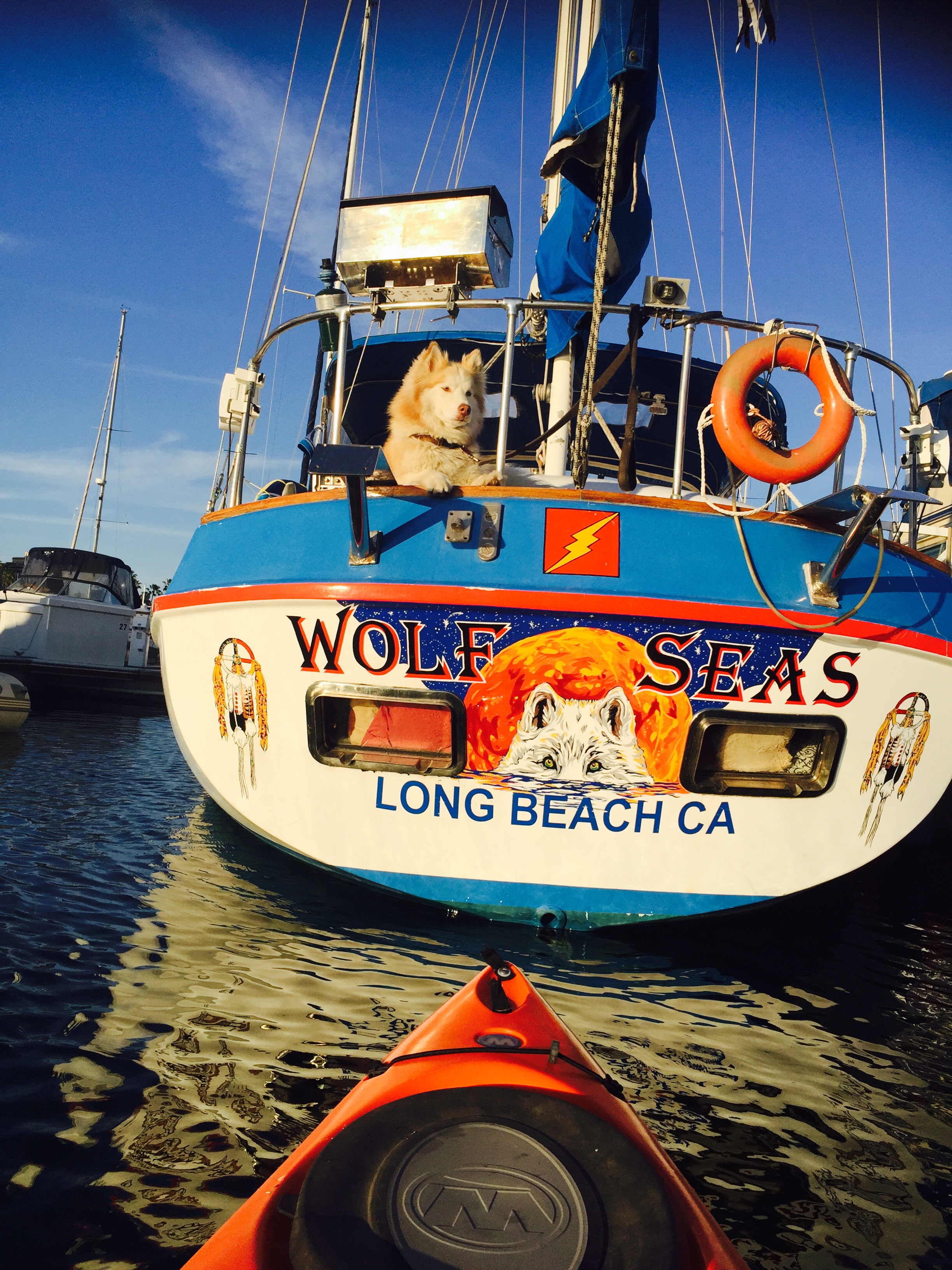 The Real ‘Wolf’ of the Seas