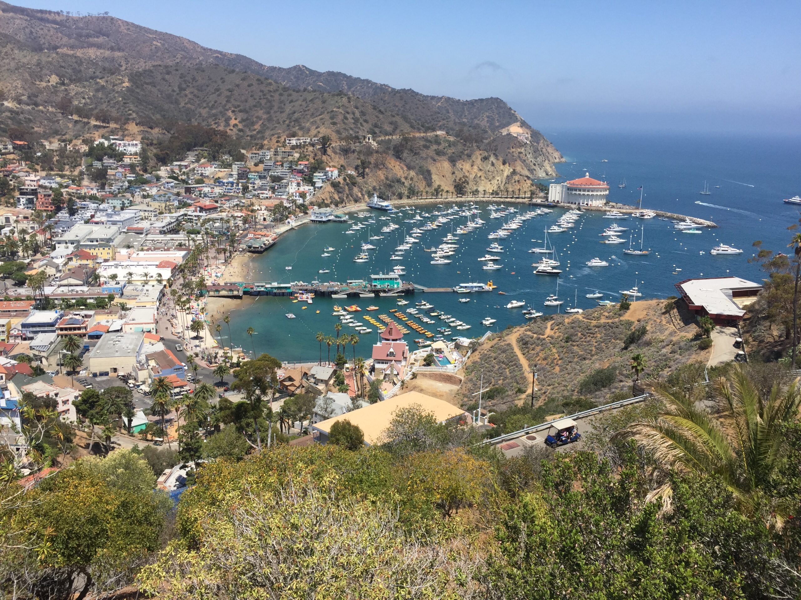 Avalon Harbor