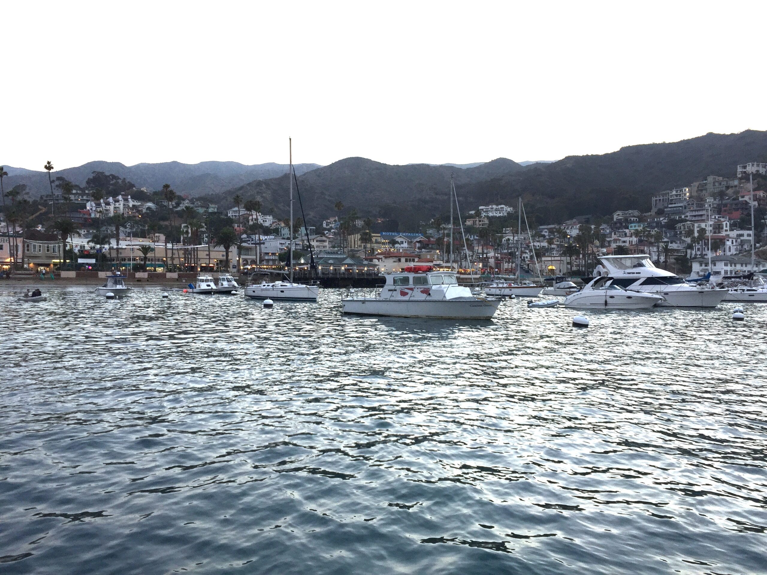 Avalon harbor in Catalina Island