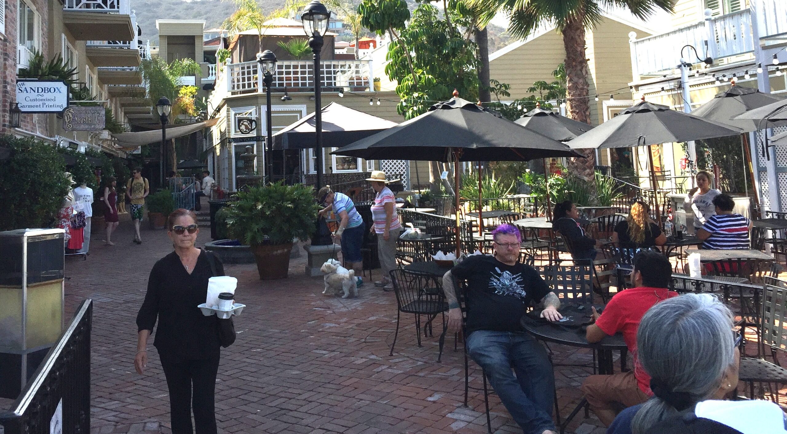 Avalon in Catalina Island banning plastic foam