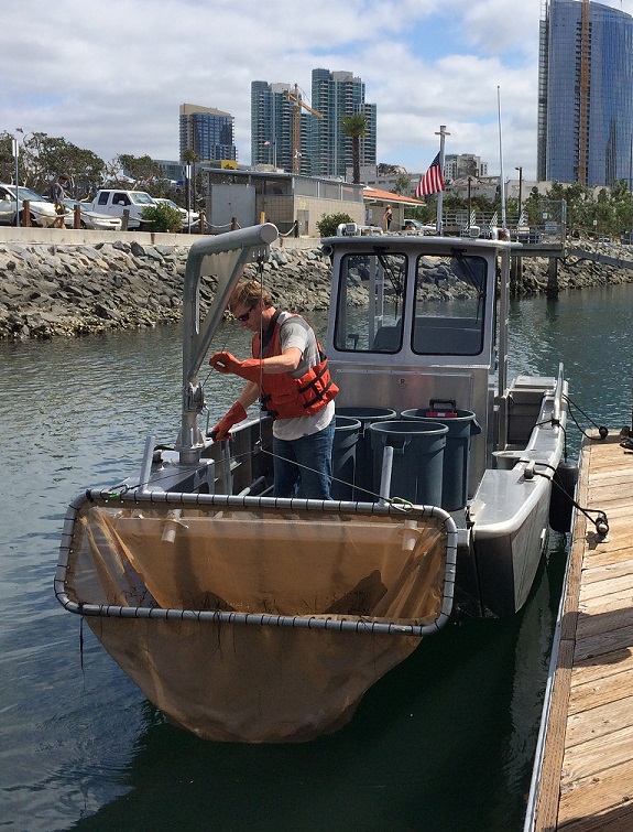 POSD Marine Debris