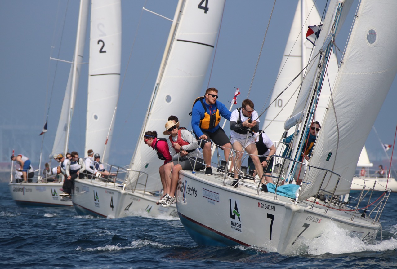 Harbor Cup