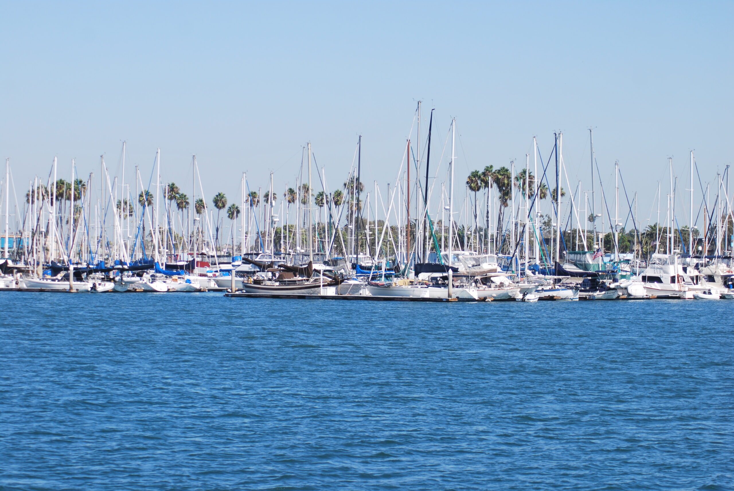 Alamitos Bay Marina