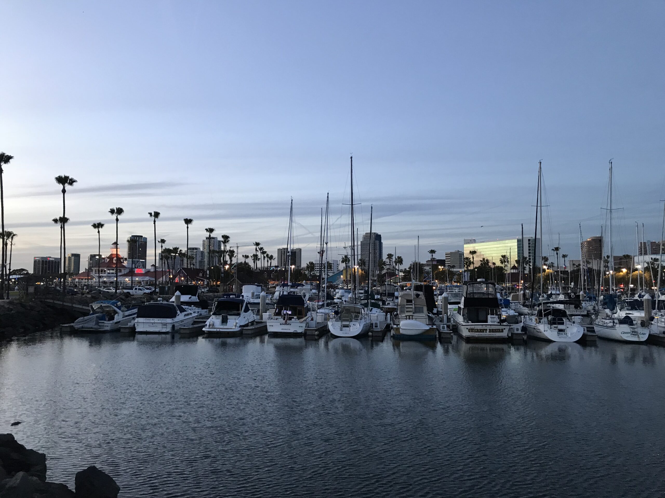 Shoreline Village
