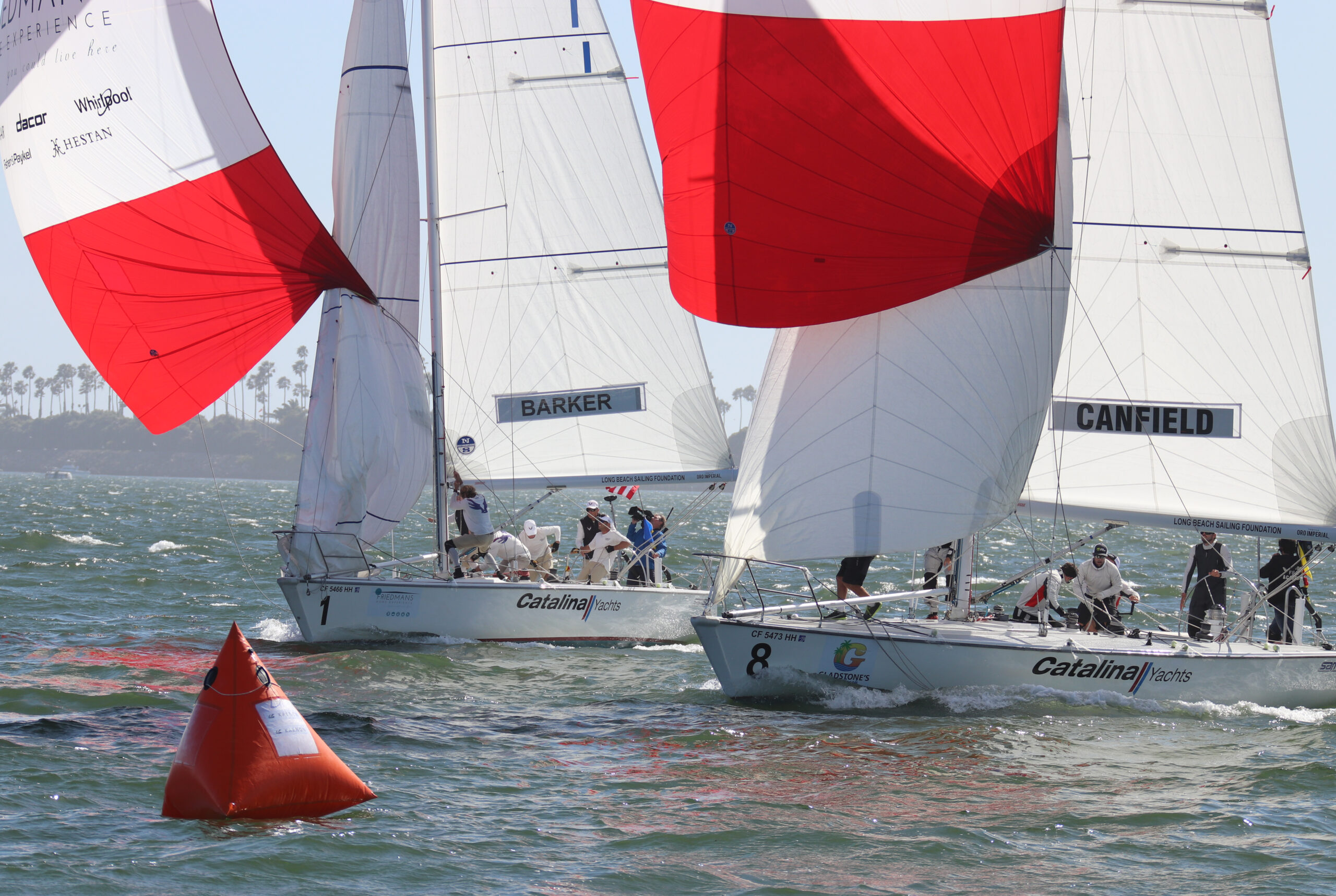 Congressional Cup - Bronny Daniels