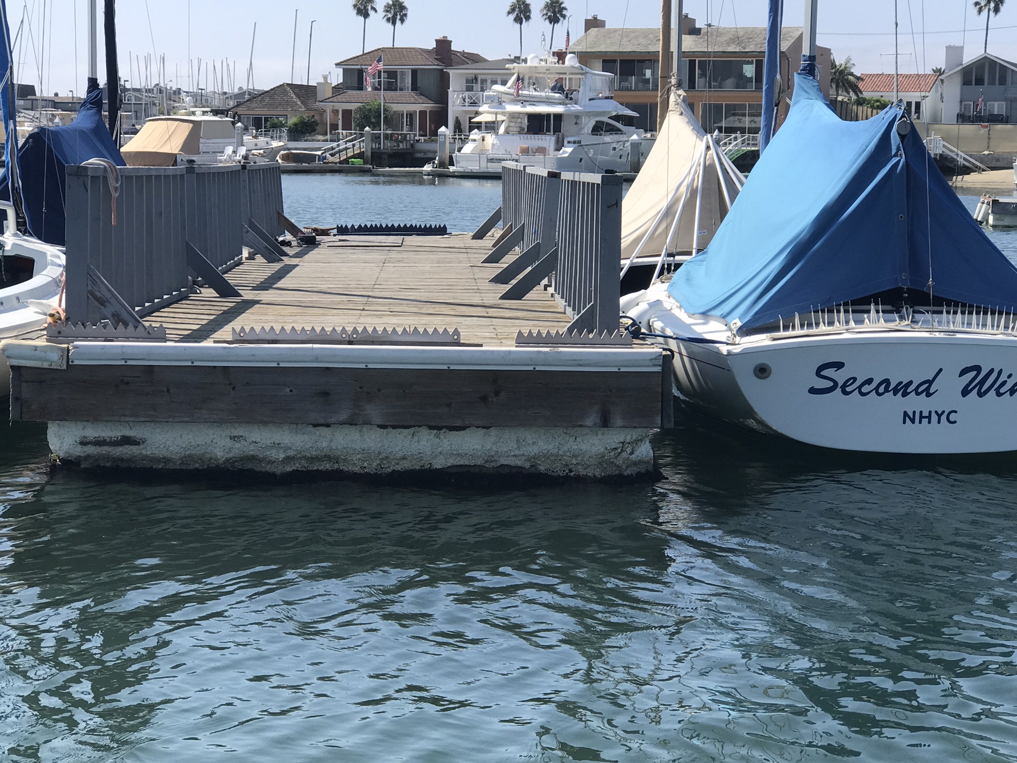 Sea Lion Deterrent