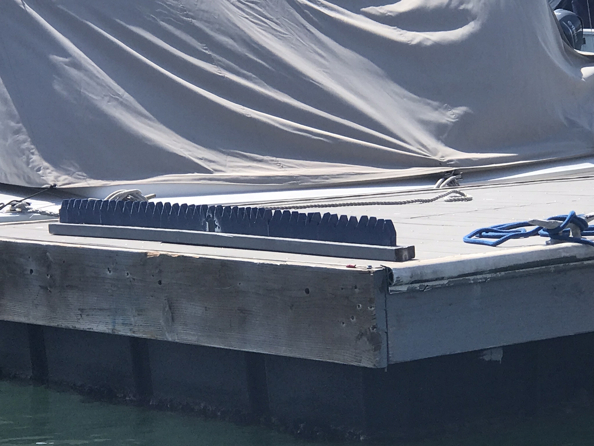 Sea Lion Deterrent