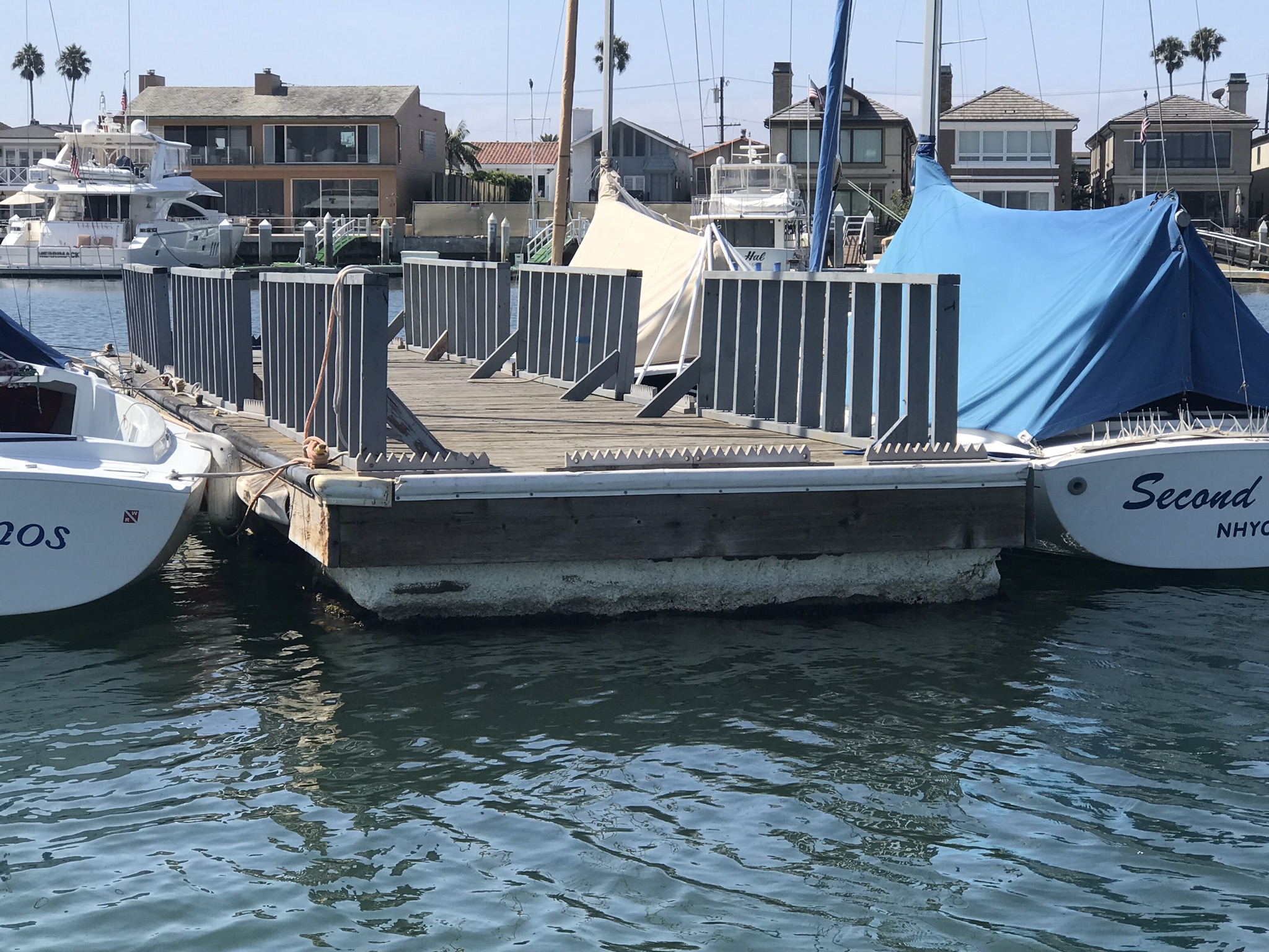 Sea Lion Deterrent