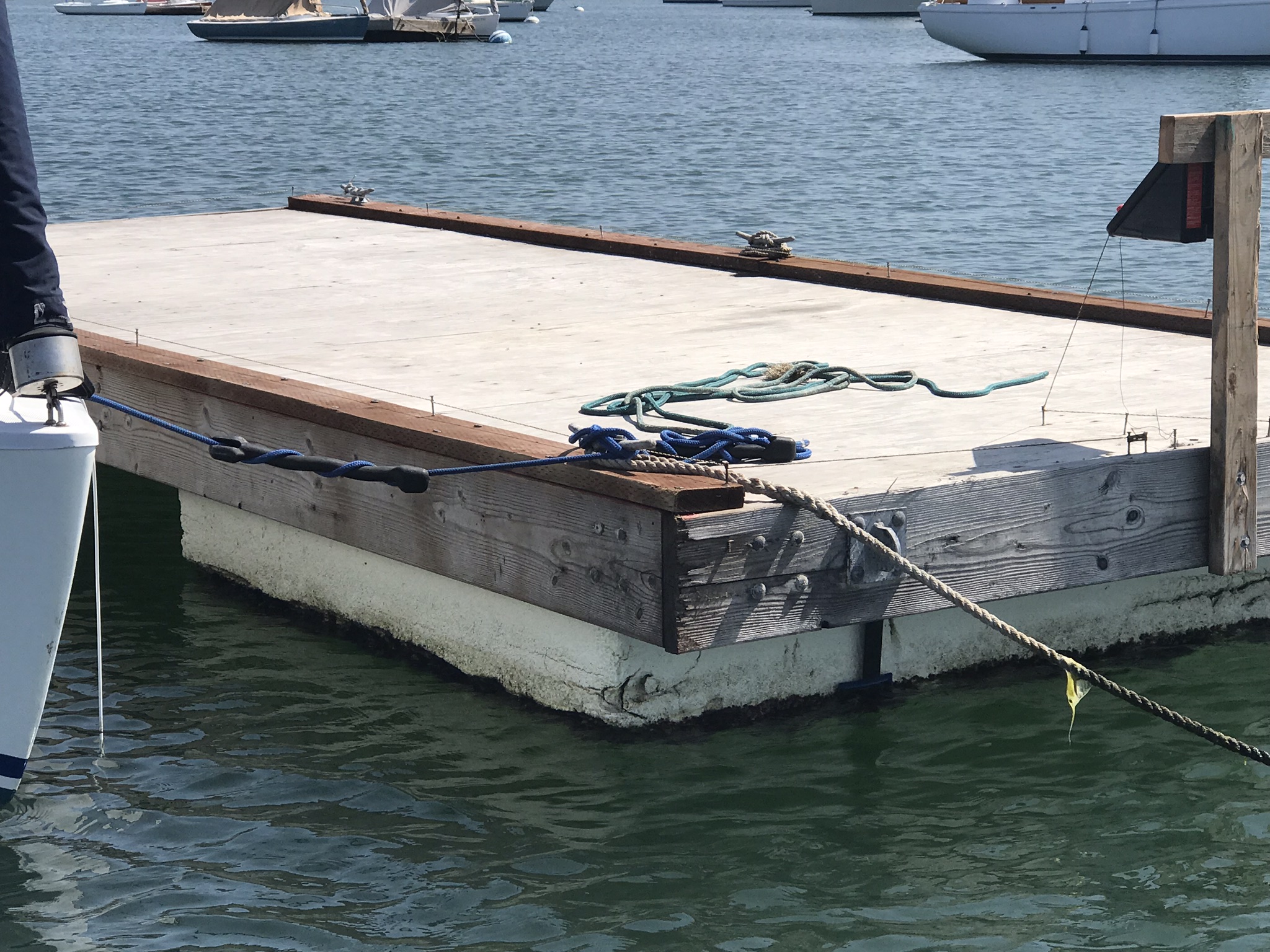 Sea Lion Deterrent