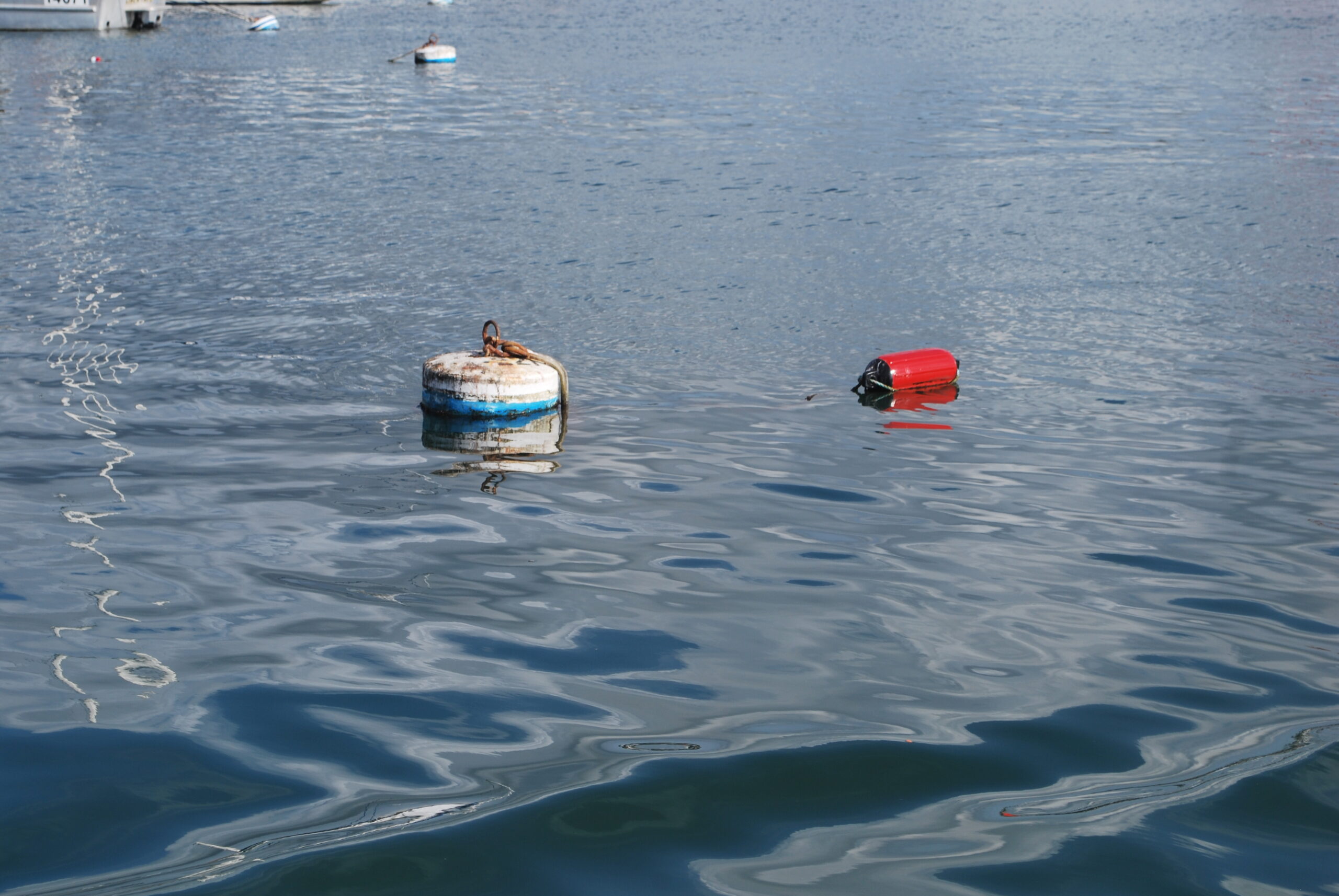 Mooring in Newport Harbor