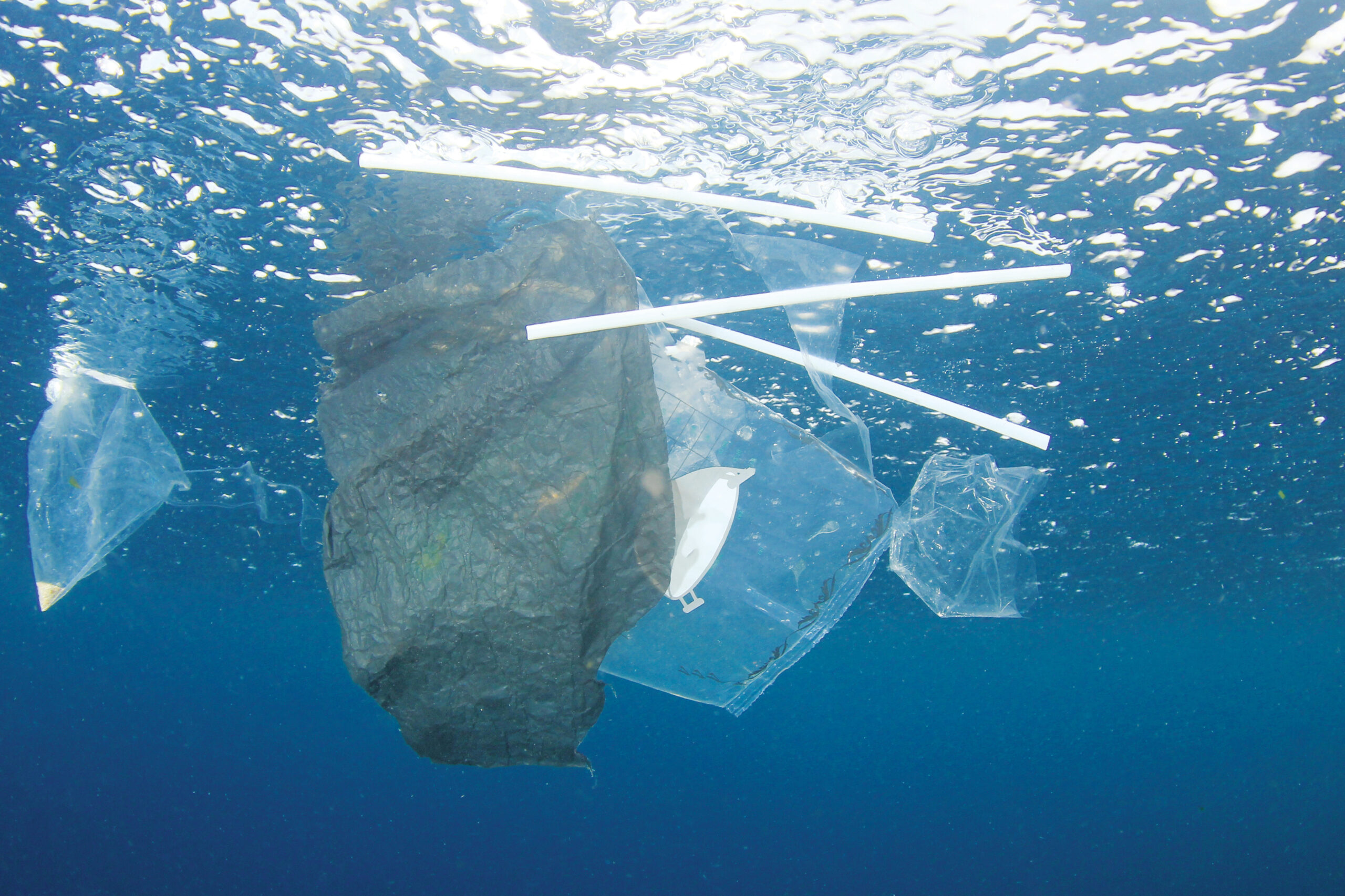 Avalon plastic straws