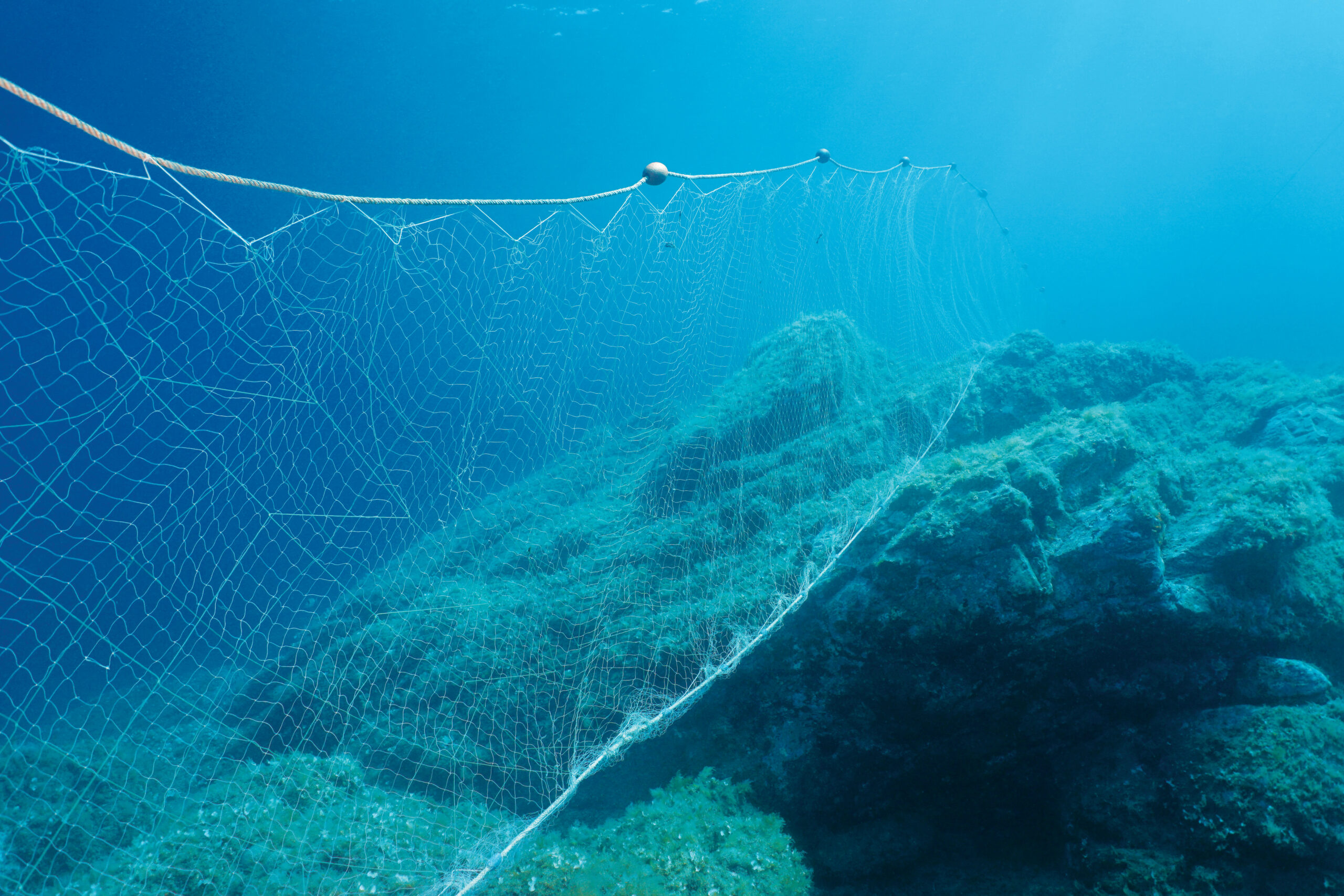 Drift Gillnet