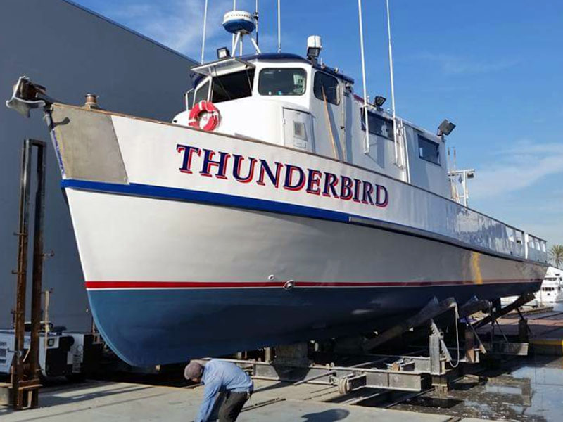 Thunderbird
