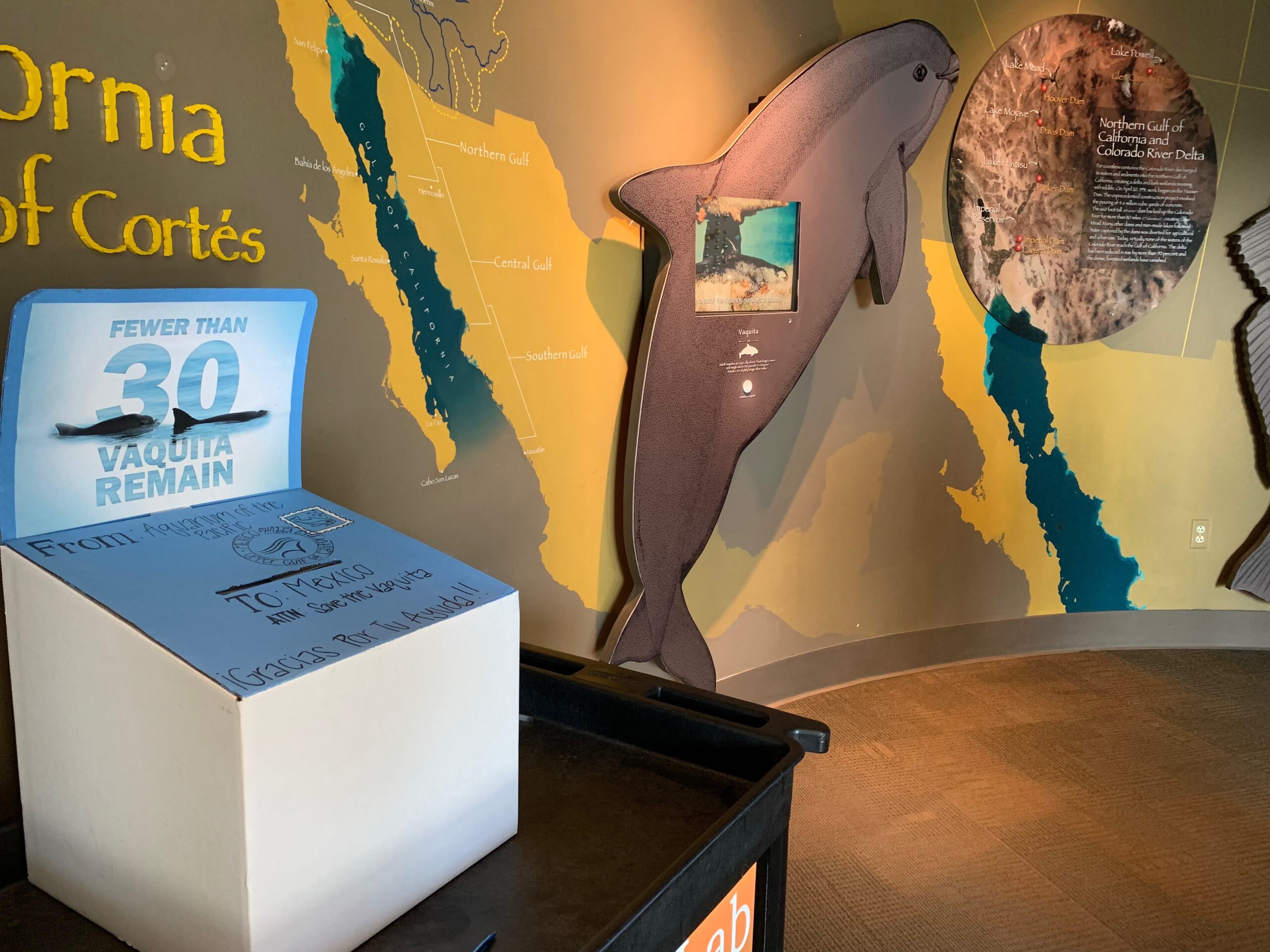 Vaquita Campaign