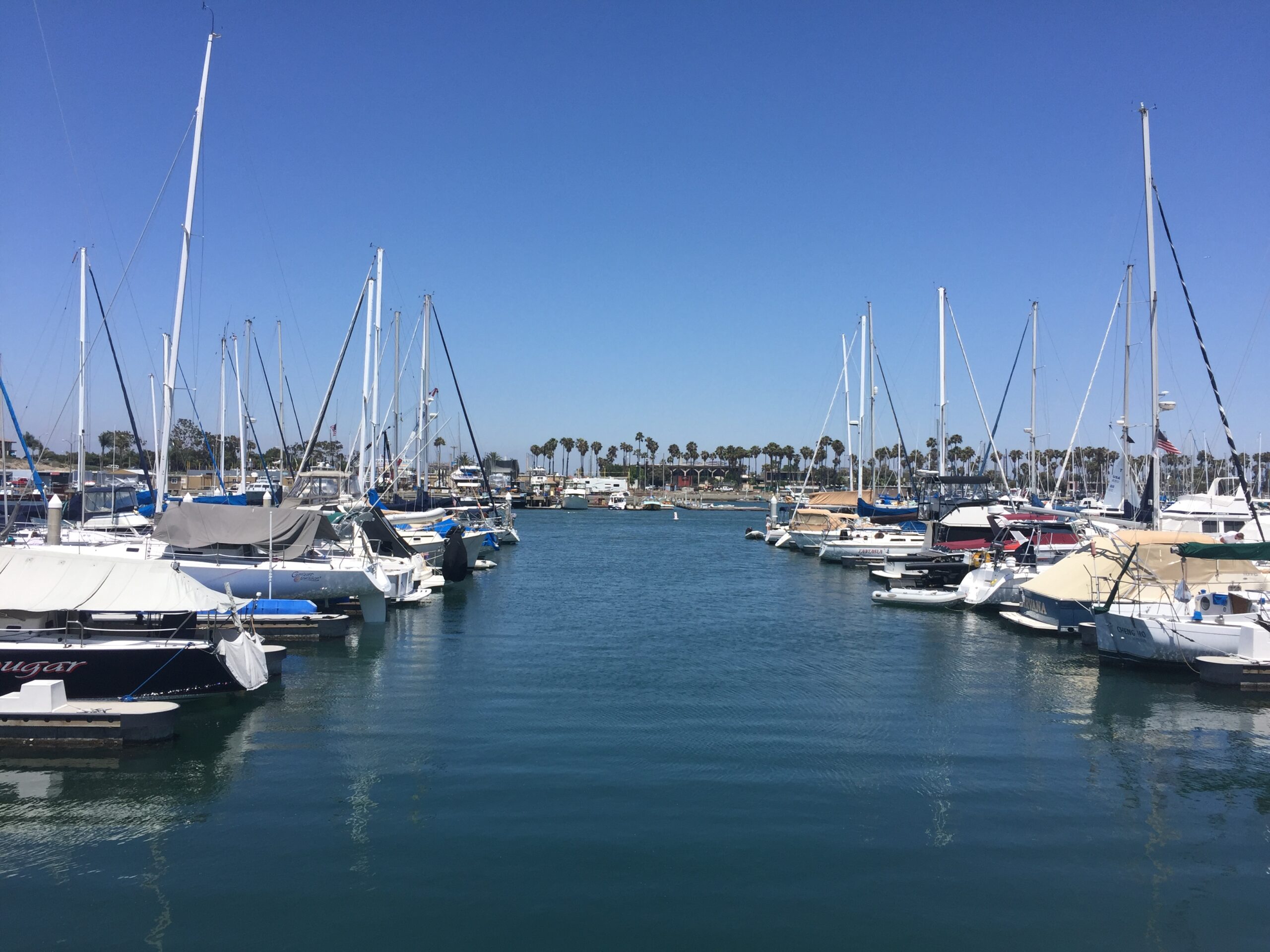 Alamitos Bay