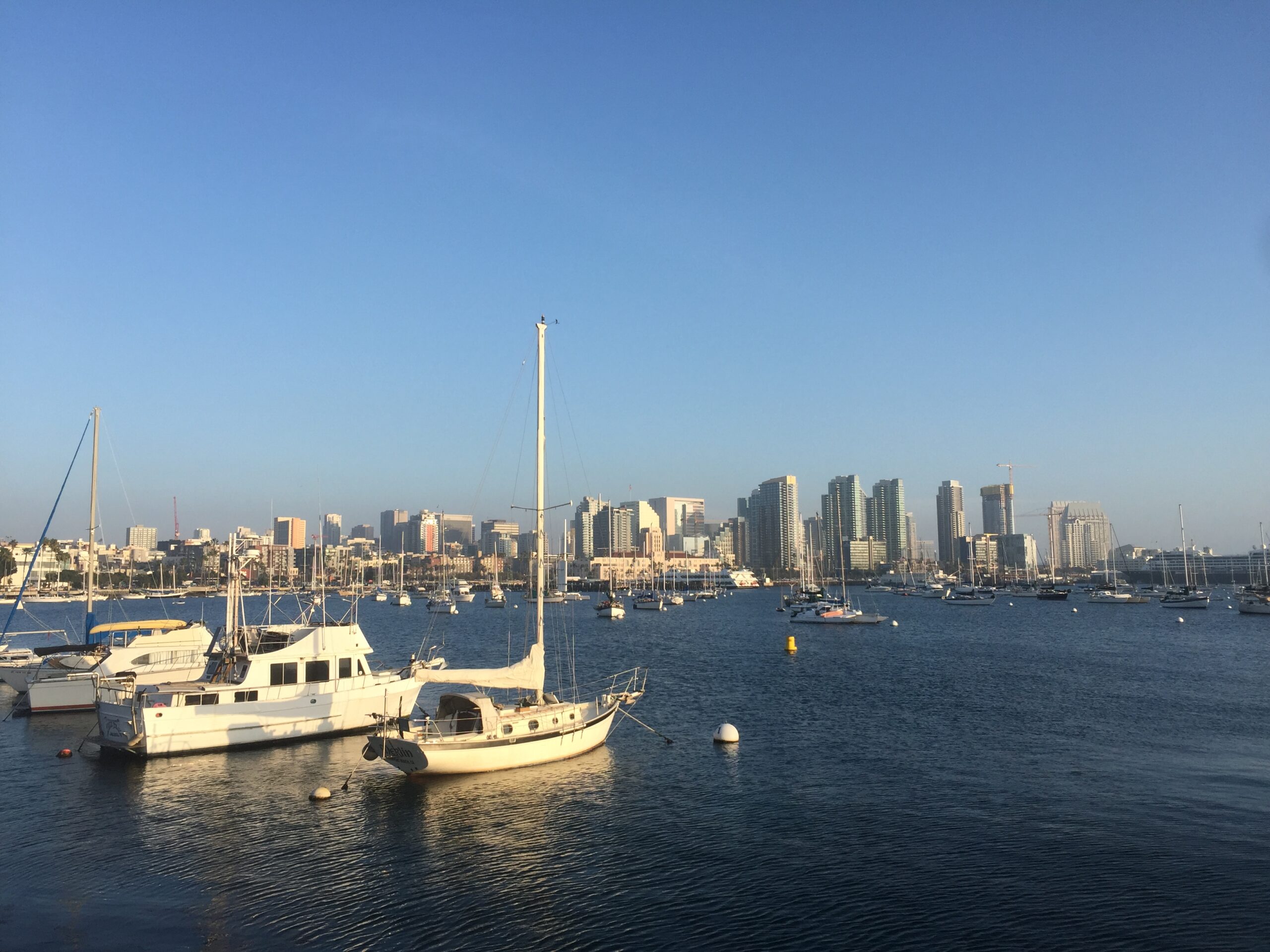 Dock Lines