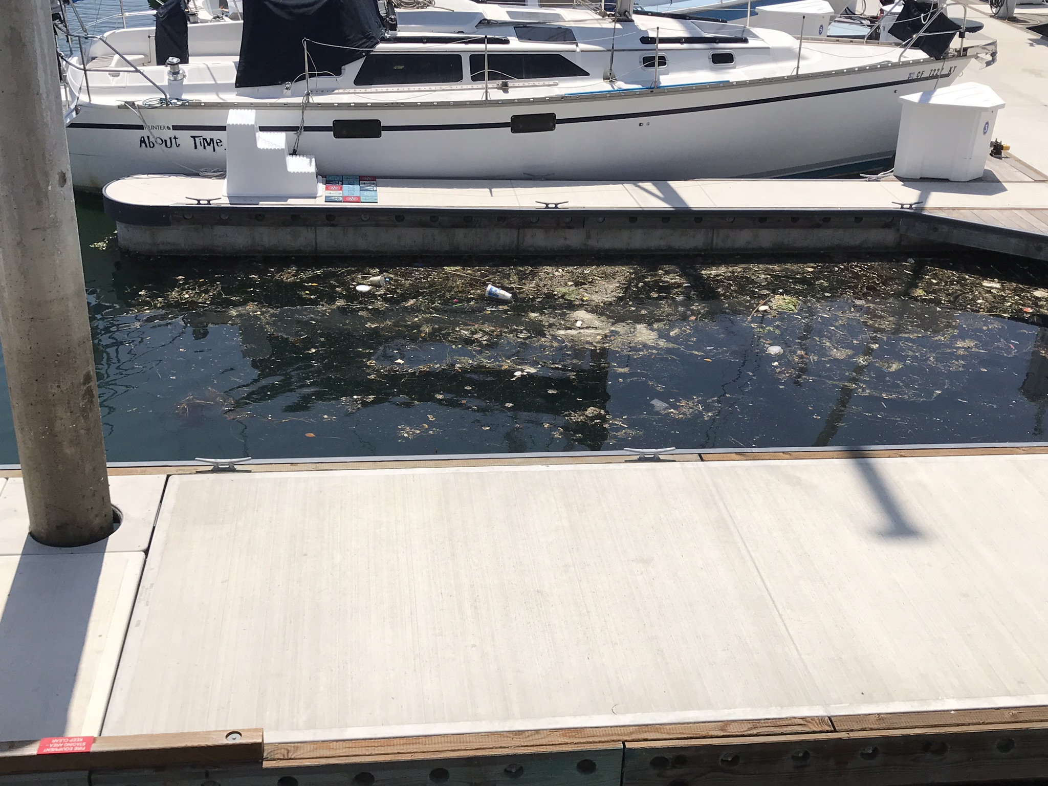 Trash Skimmer