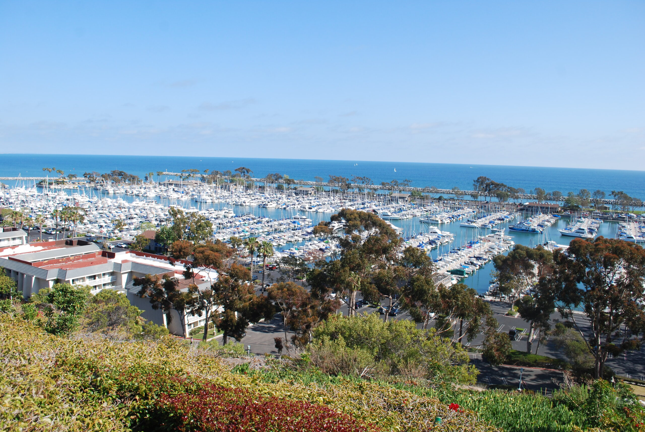 DP Harbor