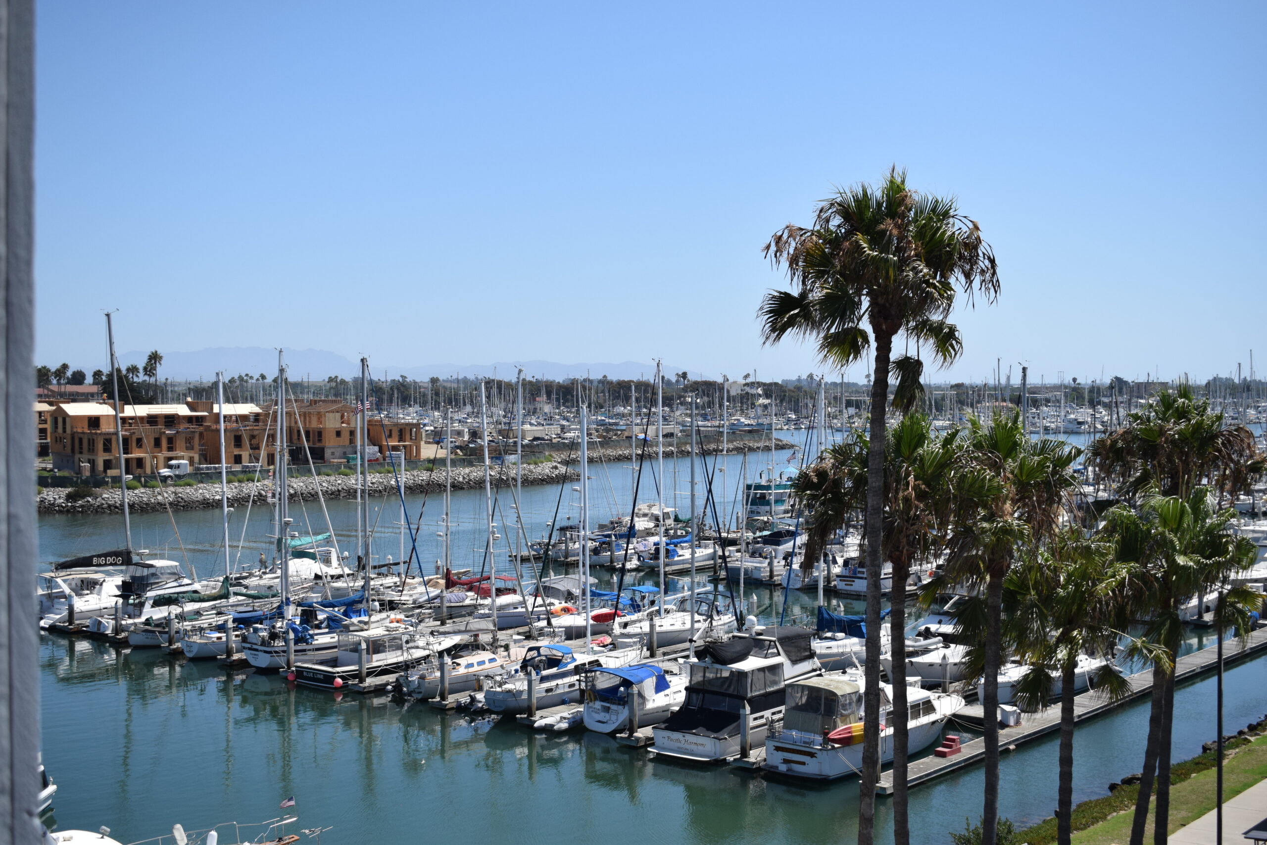 Ventura